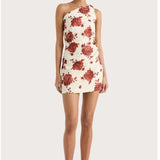 Faithfull Marga Mini Dress | Cecile Floral/Garnet