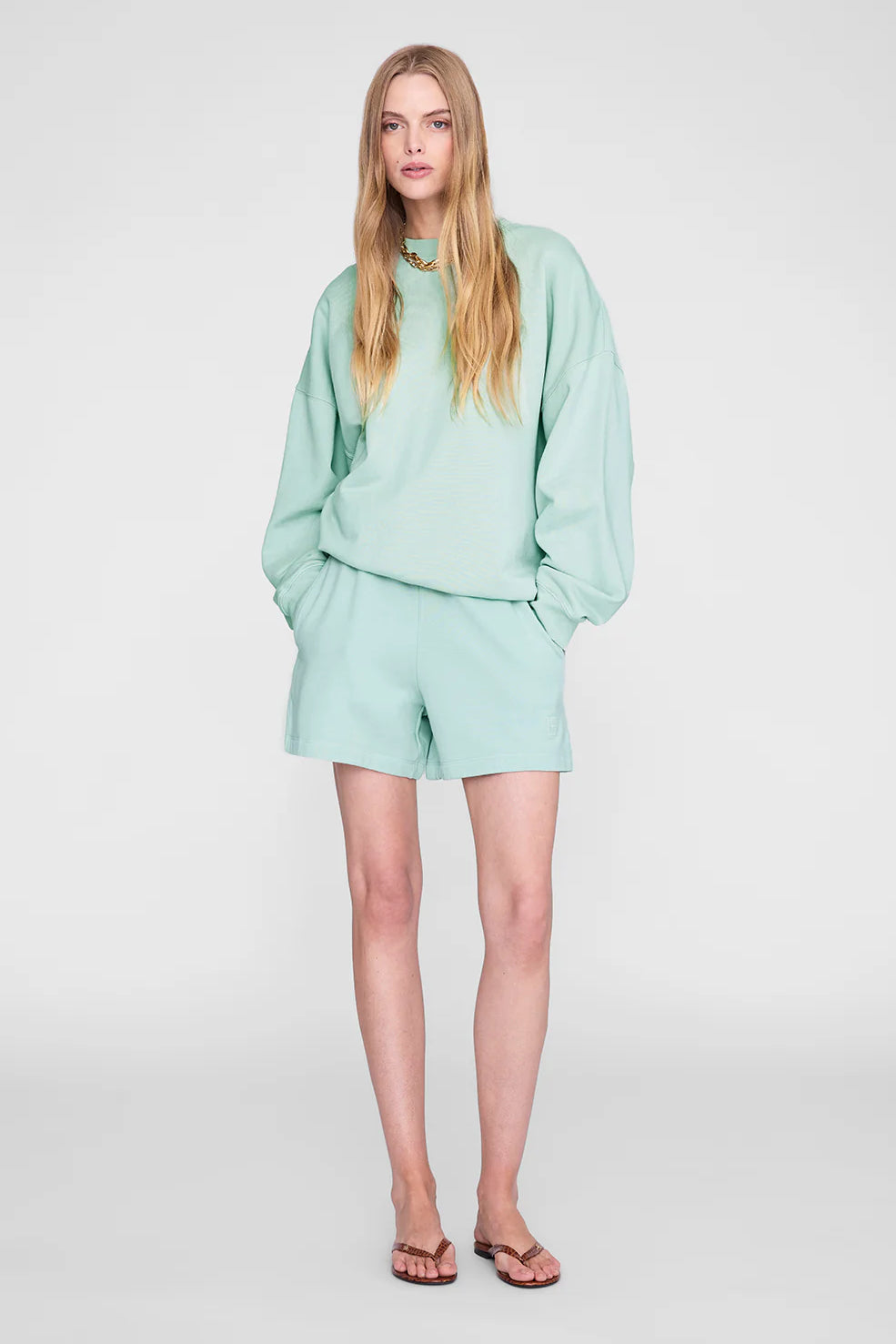 Anine Bing Miles Sweatshirt | Washed Seafoam