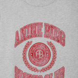 Anine Bing Cade Tee Collegiate | Grey