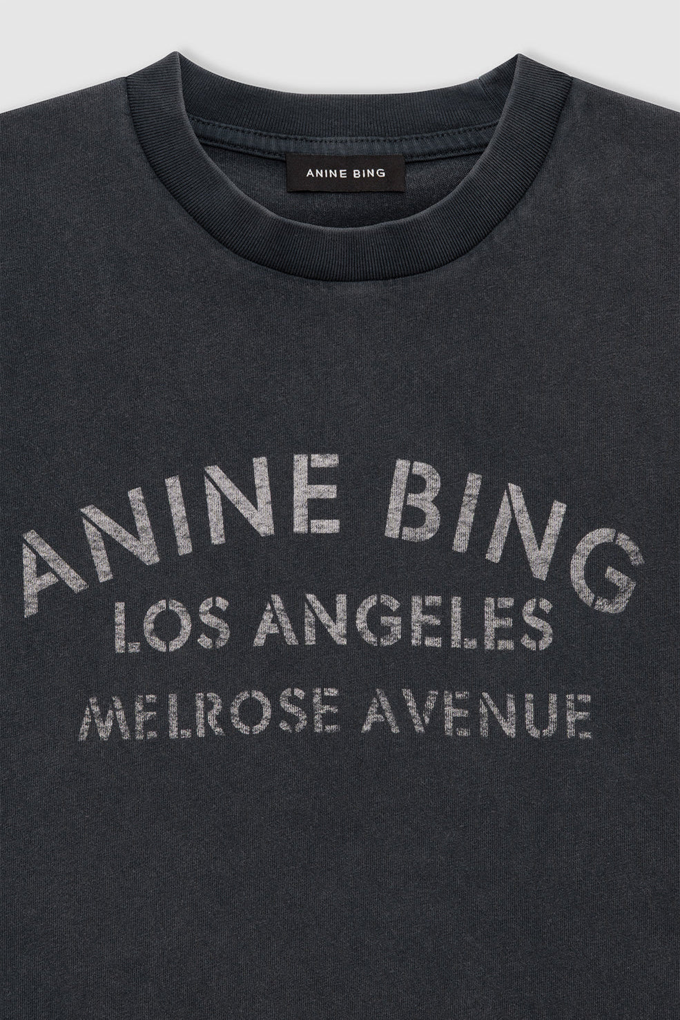 Anine Bing Cade Tee Melrose Stencil | Washed Black