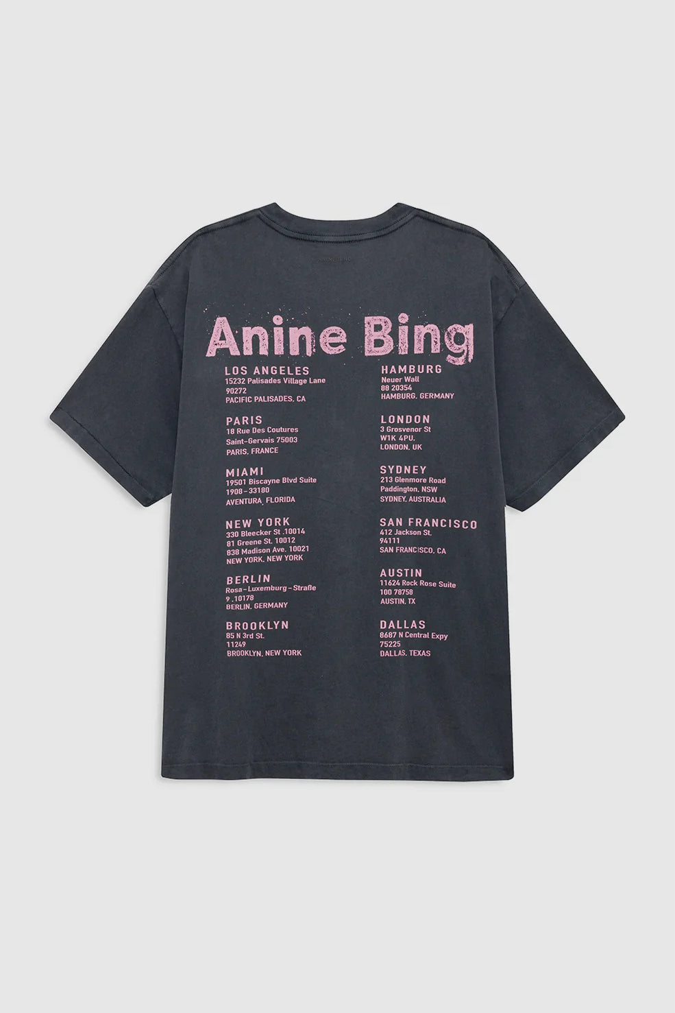 Anine Bing Cade Tee Smiley | Washed Grey
