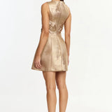 Acler Raffin Mini Dress | Gold
