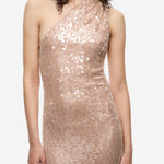 THE NICOLETTE LACE SEQUIN DRESS