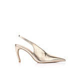 Lana Wilkinson Rochelle | Champagne
