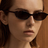 Shevoke Zulu | Tortoise Polarised