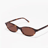 Shevoke Zulu | Tortoise