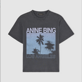 Anine Bing Cade Tee Palms | Washed Grey