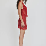 Third Form Visions Lace Mini Dress | Crimson