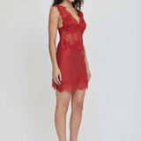 Third Form Visions Lace Mini Dress | Crimson
